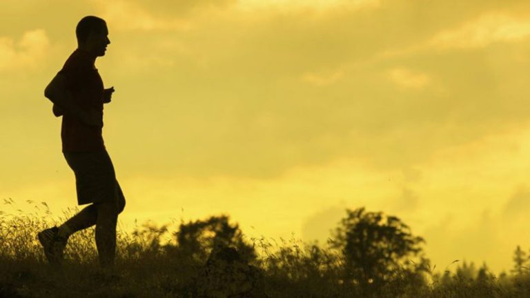 Envie de vous renseigner sur les pronostics du moment ?