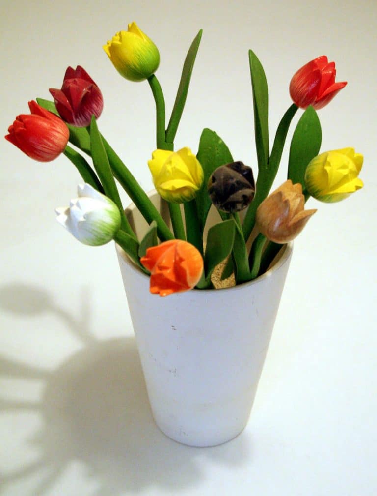 Comment planter les tulipes ?
