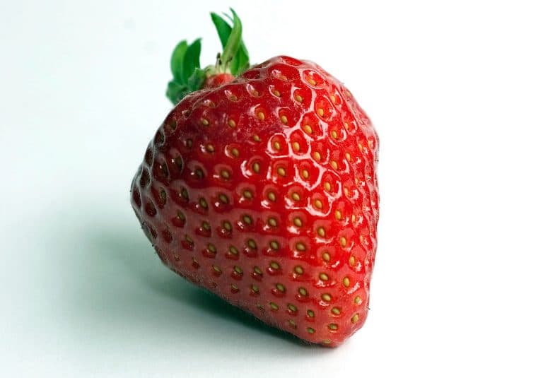 La technologie au coeur de ce robot de cuisine !