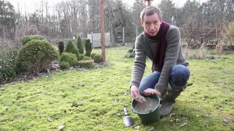 Comment enlever la mousse sur le gazon ?