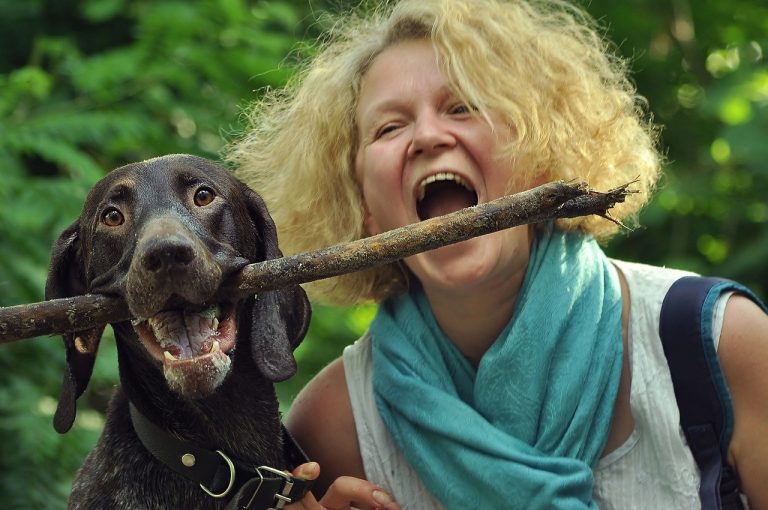 Mutuelle santé macif senior